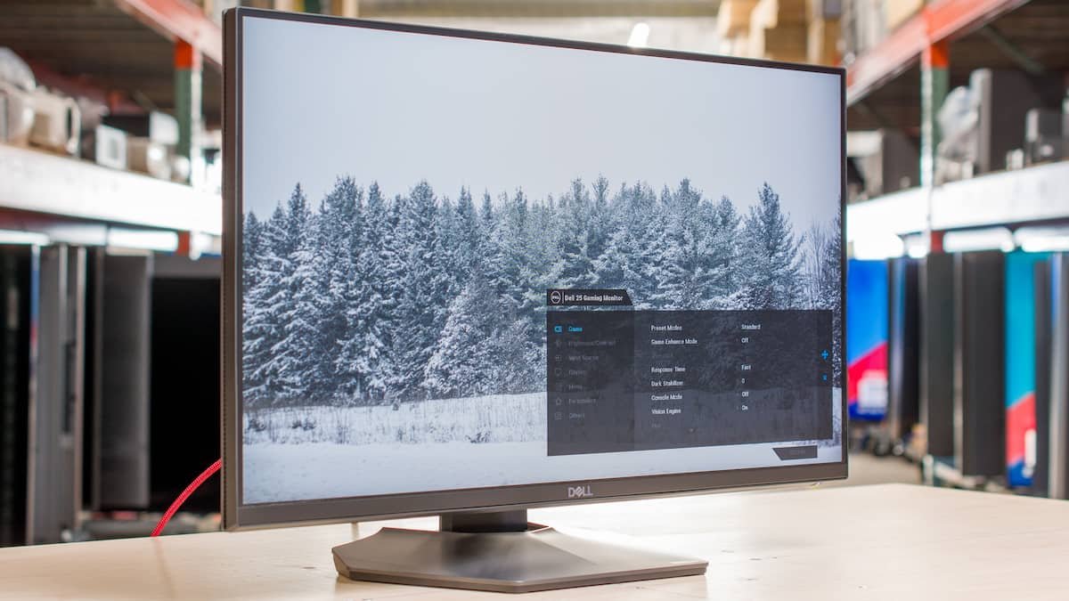 Dell G2524H