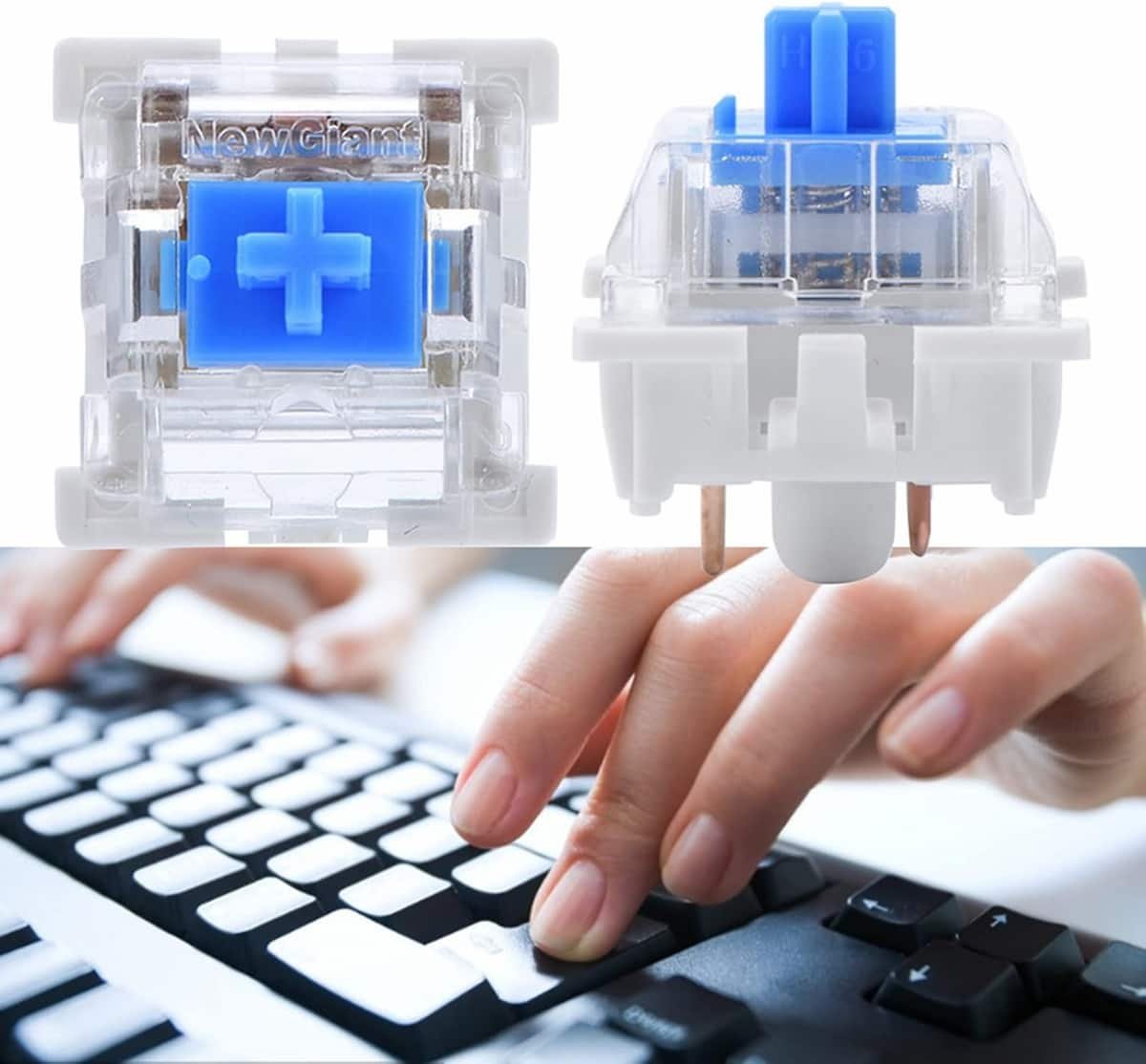 What Are Blue Switches?