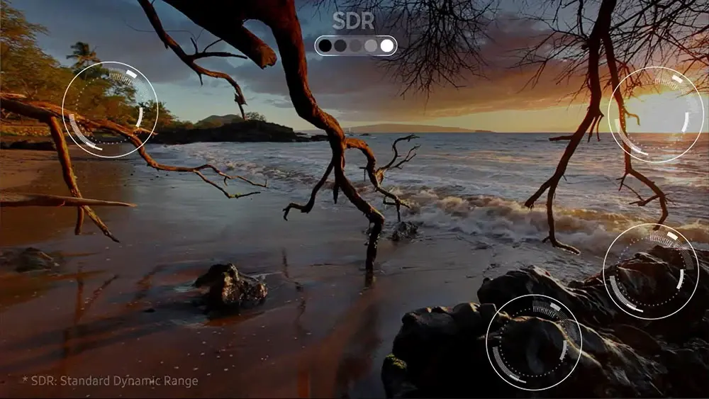 SDR strictly means Standard Dynamic Range