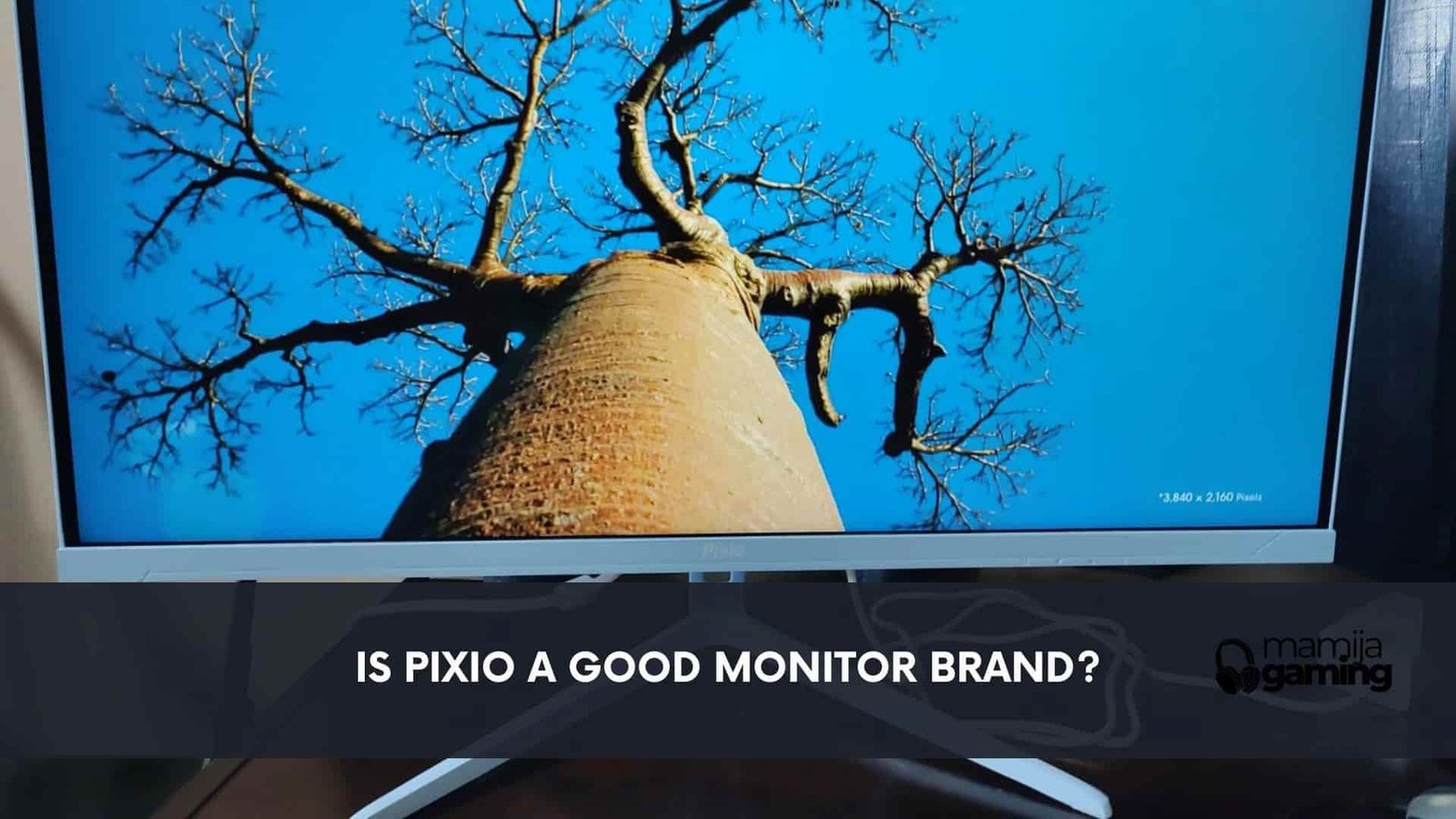 Is Pixio a Good Monitor Brand