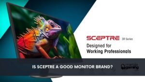 Is Sceptre a Good Monitor Brand